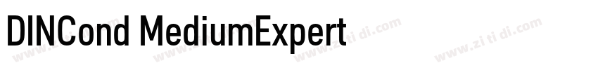 DINCond MediumExpert字体转换